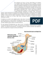 Procesos de Digestion de Las Aves