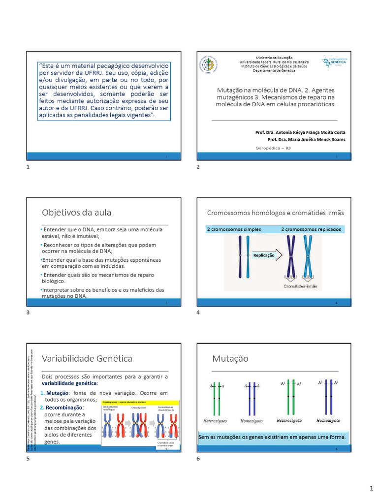 Aula 7 - Mutao de DNA Agentes Mutagnicos e Mecanismos de Reparo de DNA ...
