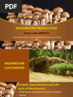 Soy Hulls | Soy Hulls, Substrate, Mushroom Substrate, Masters Mix