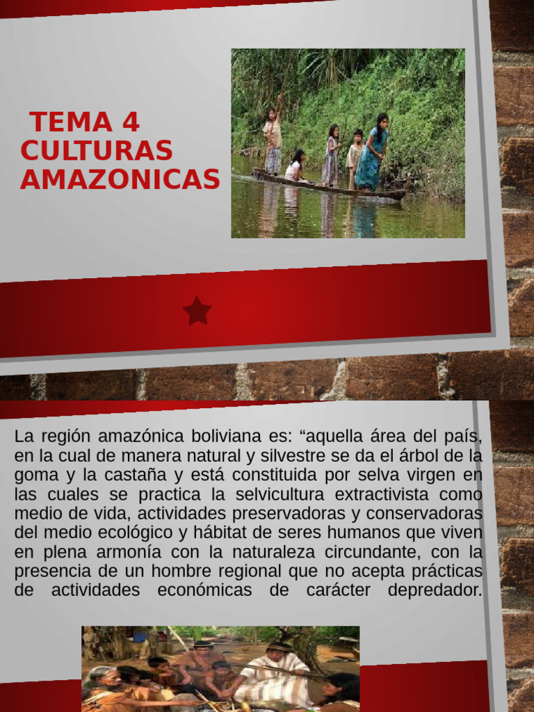 Culturas Amazónicas de Bolivia | PDF | Selva amazónica | Bolivia