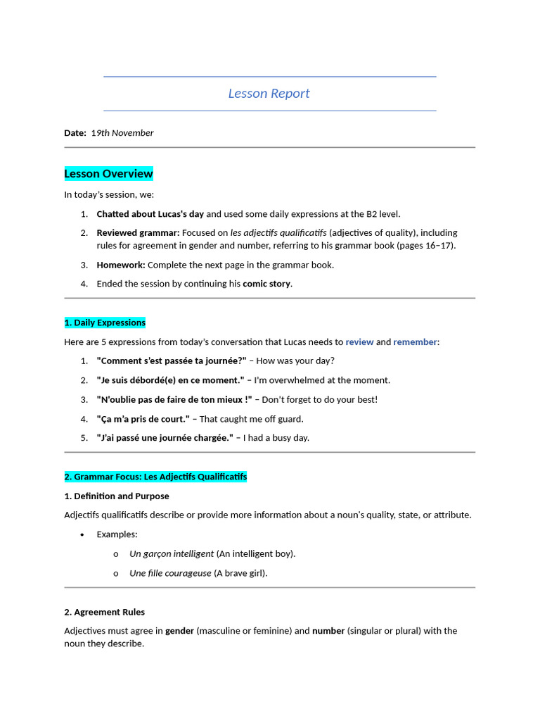 Lesson Report November 19th | PDF | Grammatical Gender | Plural