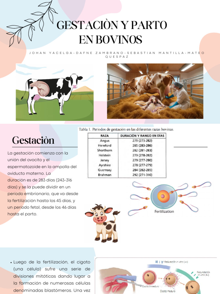 gestaci-n-y-parto-en-bovinos-pdf