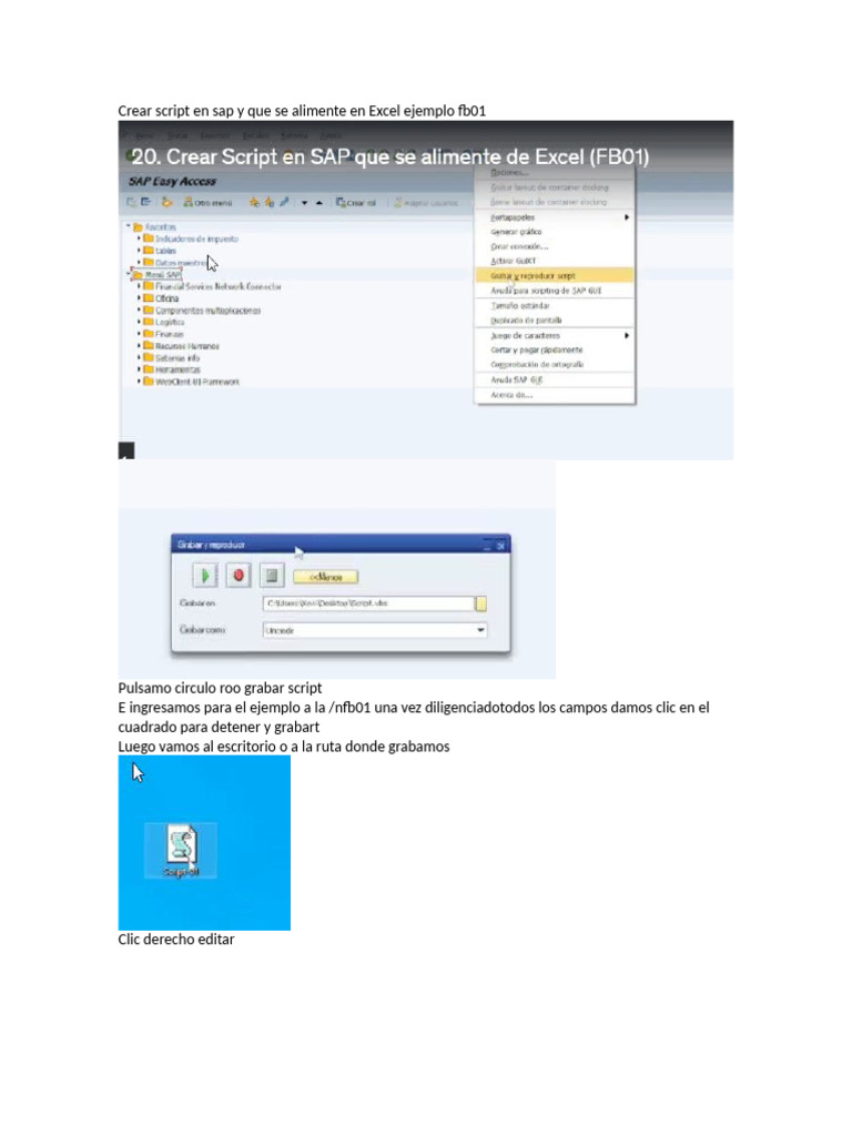 Script SAP para Excel: Ejemplo FB01 | PDF