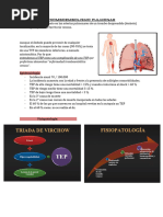 Protocolo Tomográfico para TEP | PDF | Sistema cardiovascular ...
