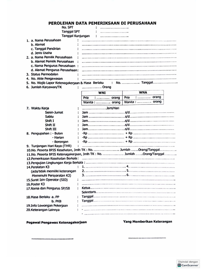 Form Data PT | PDF