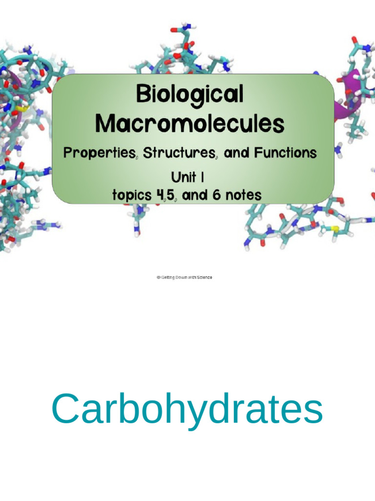 3+Topic+4+5+and+6+Notes+copy | PDF | Carbohydrates | Nucleotides