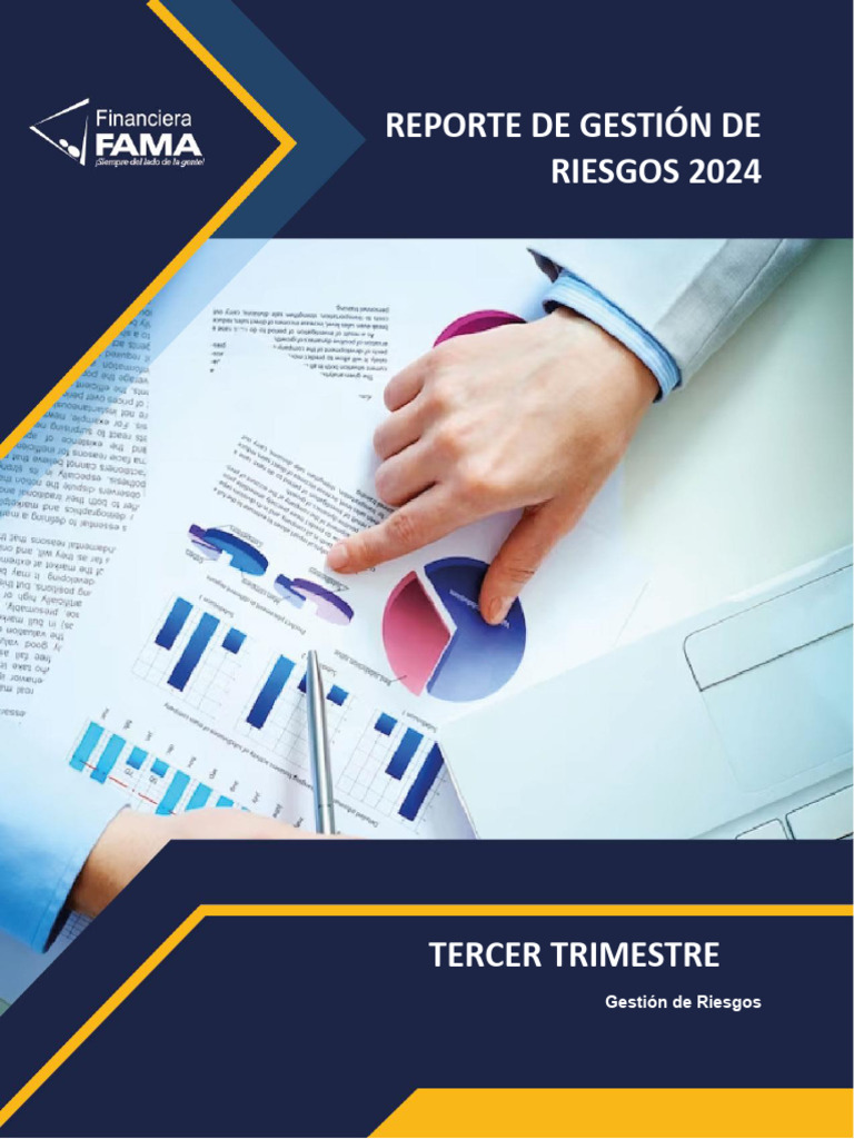 Informe Riesgos Financieros T3 2024 | PDF | Riesgo crediticio | Bancos