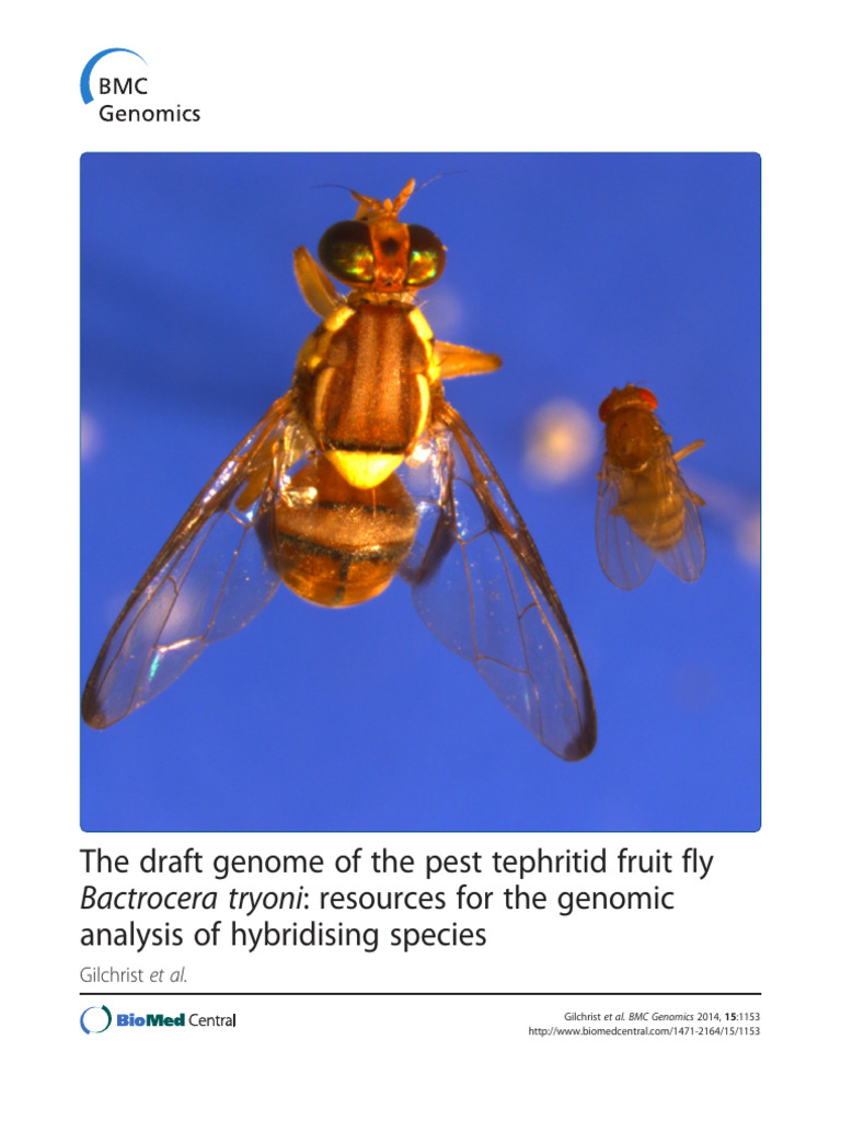 The Draft Genome of The Pest Tephritid Fruit Fly: Resources For The ...