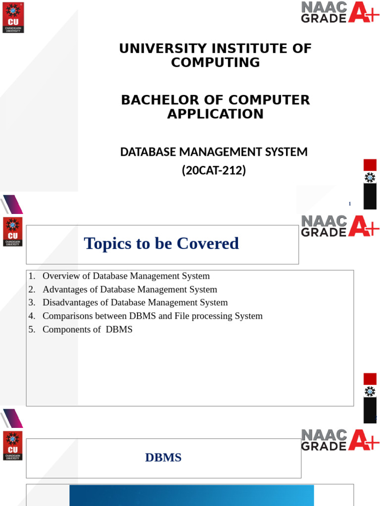 lecture 5 (advantages of dbms over file system approach) | PDF ...