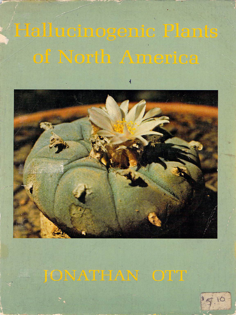 Hallucinogenic Plants of North America | PDF
