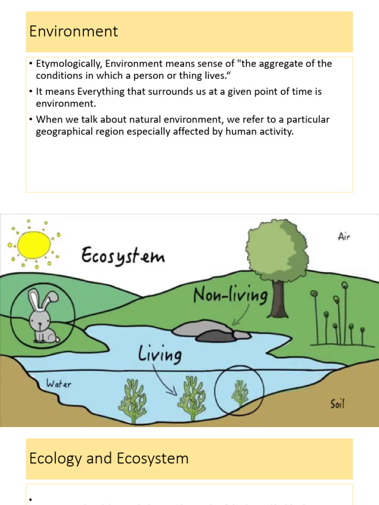 Understanding Ecosystems and Their Types | PDF | Food Web | Ecosystem