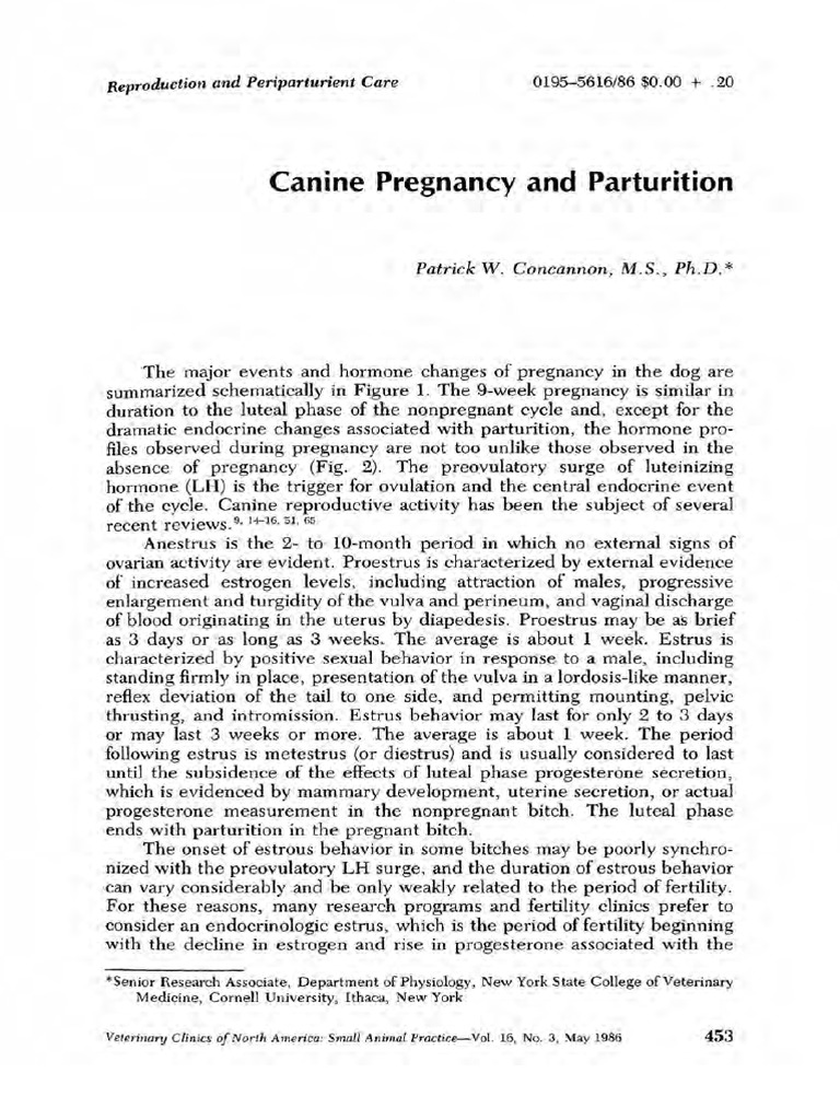 Picture of Canine Pregnancy and Parturition | PDF | Menstrual Cycle | Luteinizing ...