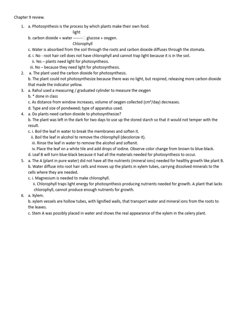 Chapter 9: Photosynthesis Review | PDF