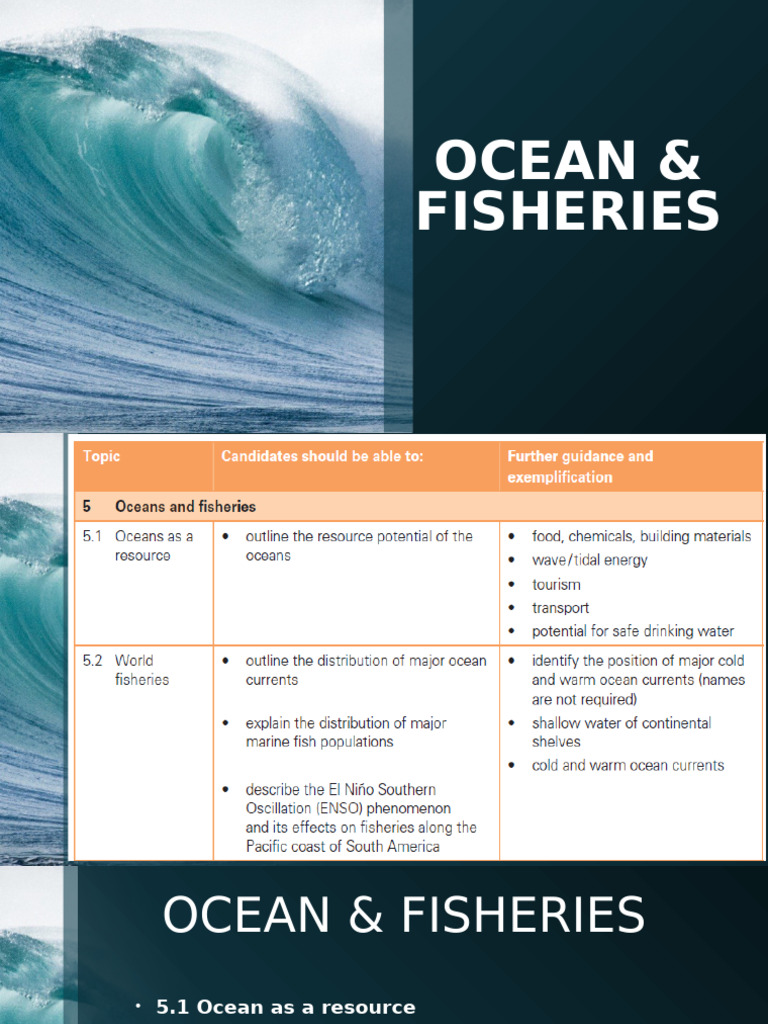 Ocean & Fisheries | PDF | Oceans | Overfishing