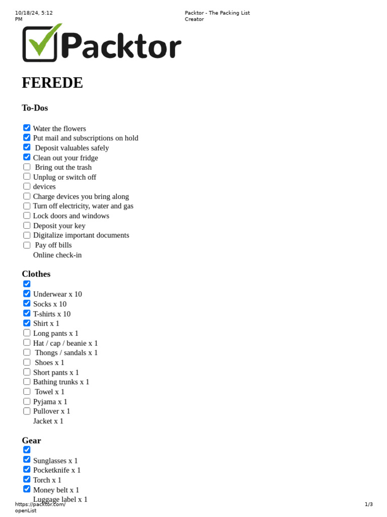 Essential Packing List Guide | PDF