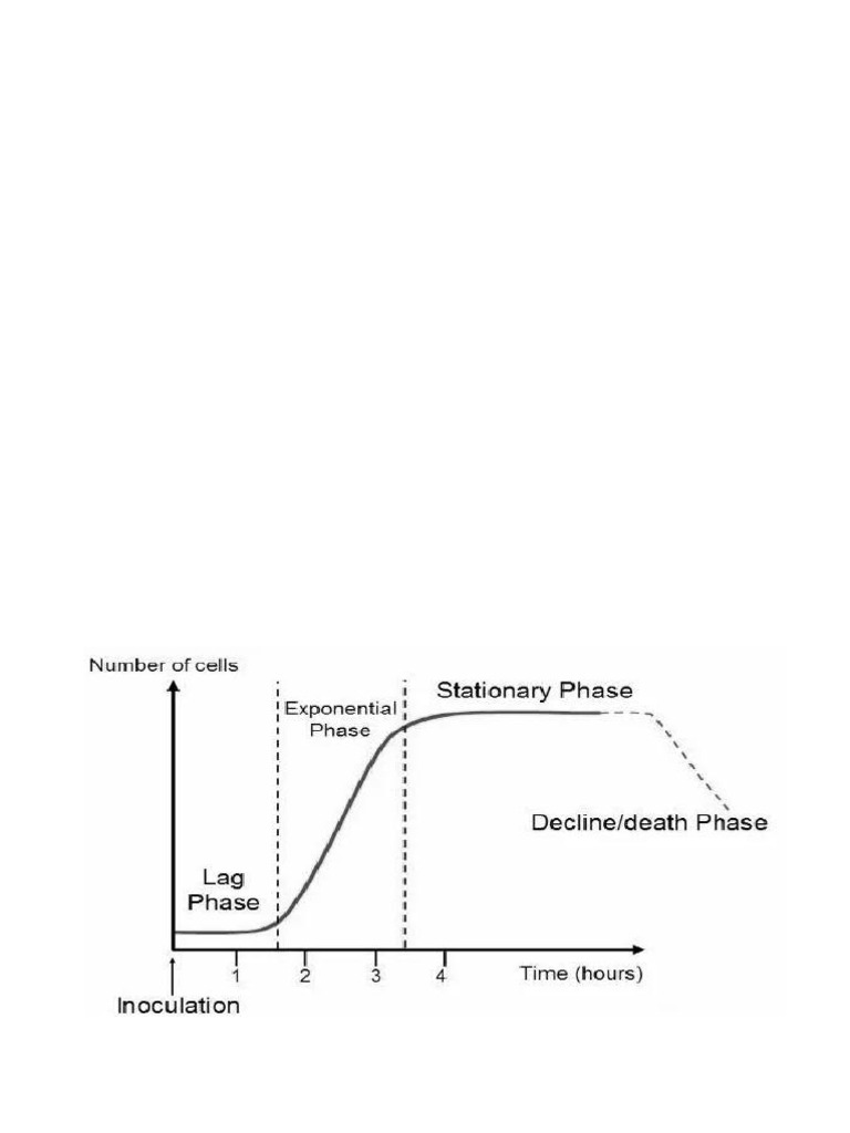 Understanding Bacterial Growth Phases | PDF | Sterilization ...