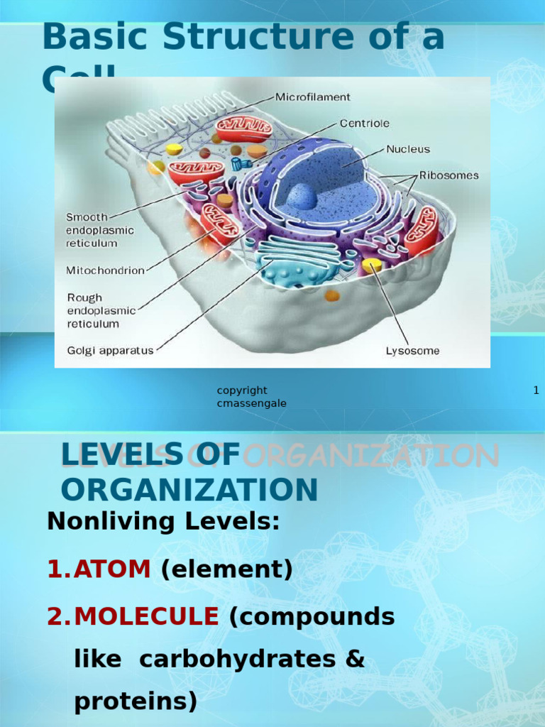 Cell Theory and Structure | PDF | Cell (Biology) | Life