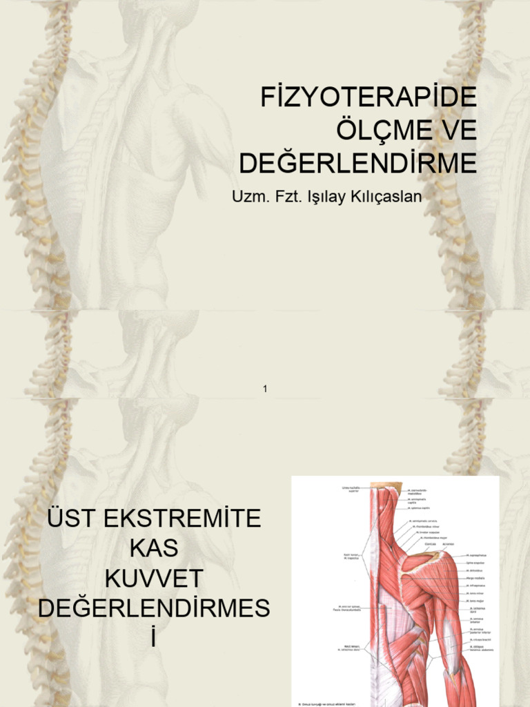 Kas Kuvvet Ölçümü - Üst Ekst. | PDF