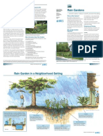 Rain Garden Brochure - Montana