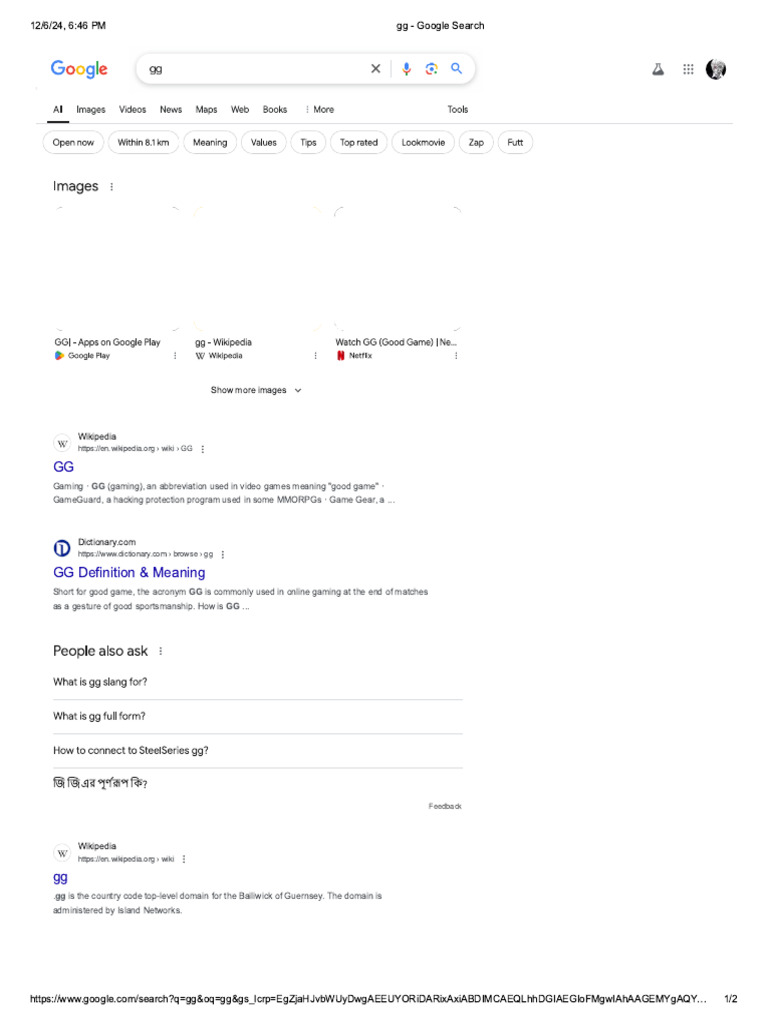 GG - Google Search | PDF