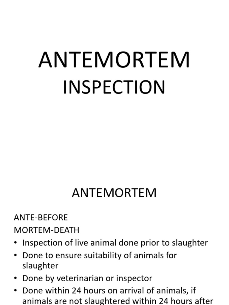 Ante Mortem Inspection Guidelines | PDF | Animal Slaughter | Cattle