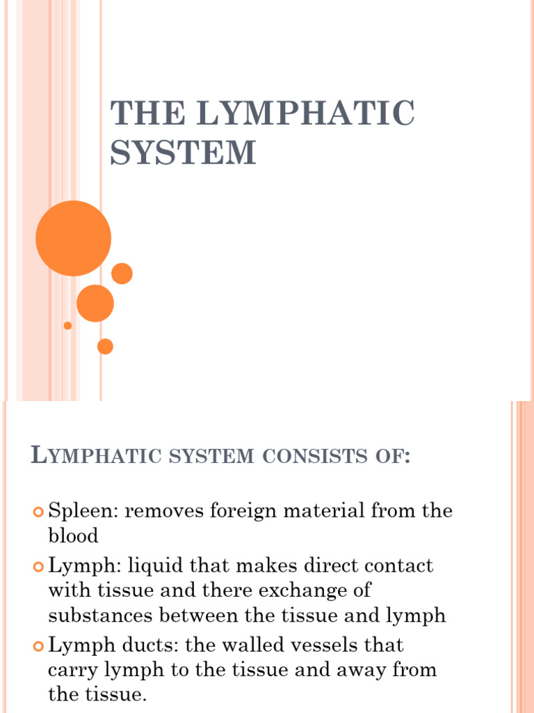 Lymphatic System Overview for Meat Inspection | PDF