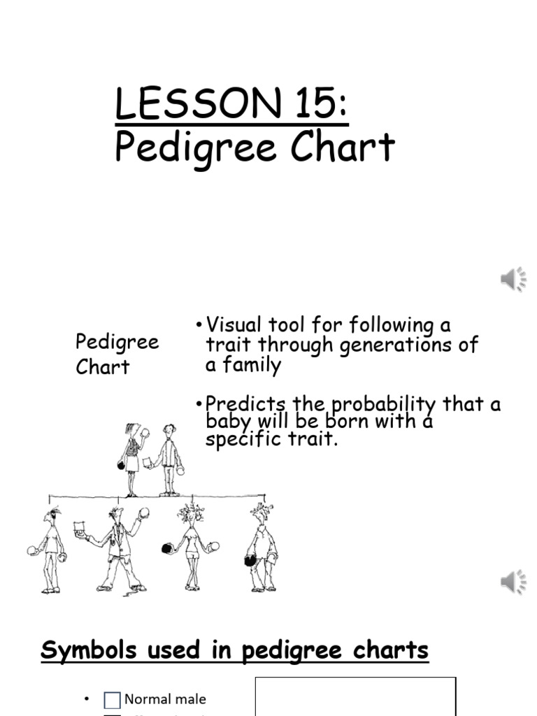 Lesson 15 Pedigree Chart | PDF