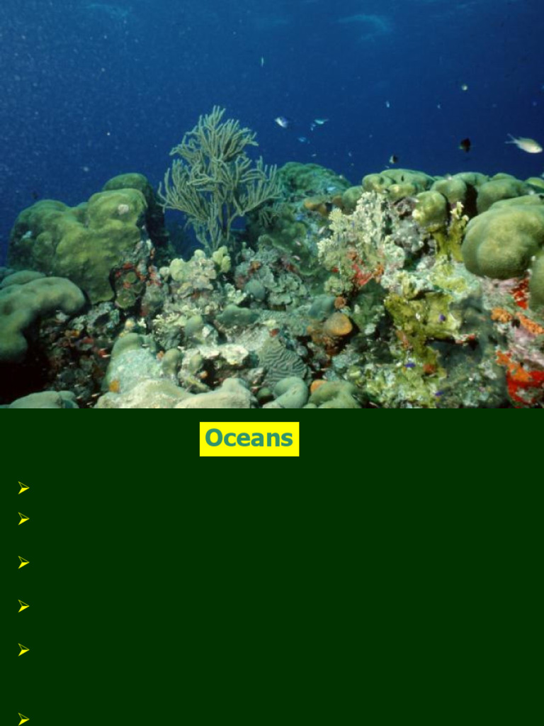 Integrated Coastal Zone Management in India | PDF | Coast | Sea