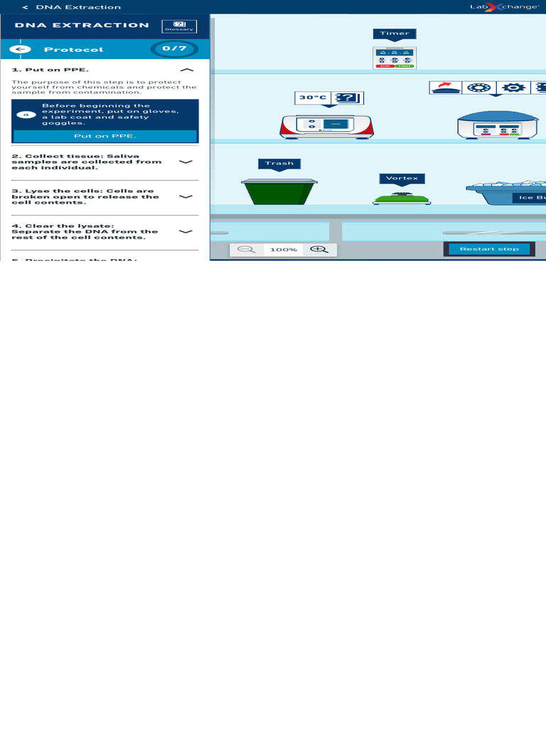 DNA Extraction Simulation Guide | PDF | Dna | Genetic Engineering