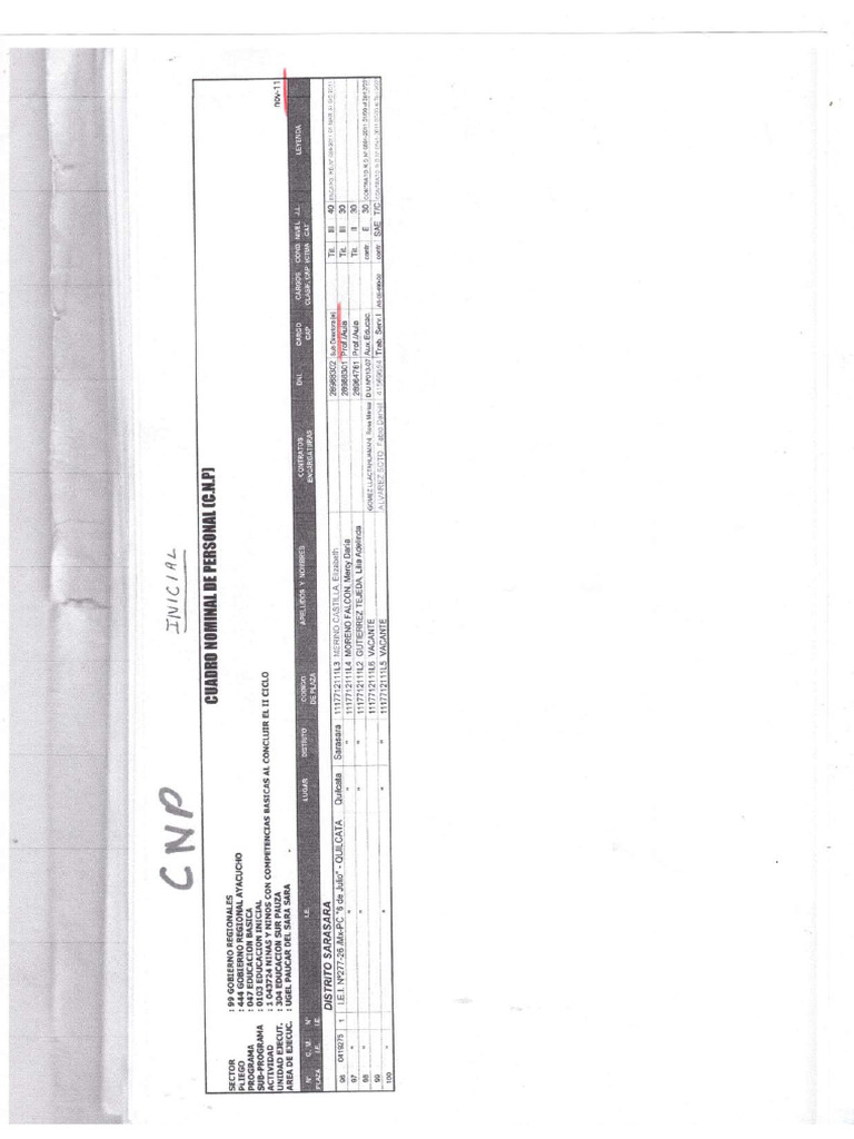 CNP | PDF