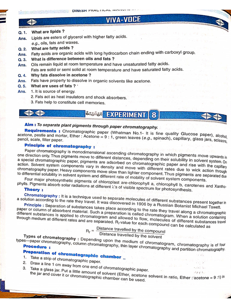 DocScanner 03 Dec 2024 3 00 PM | PDF