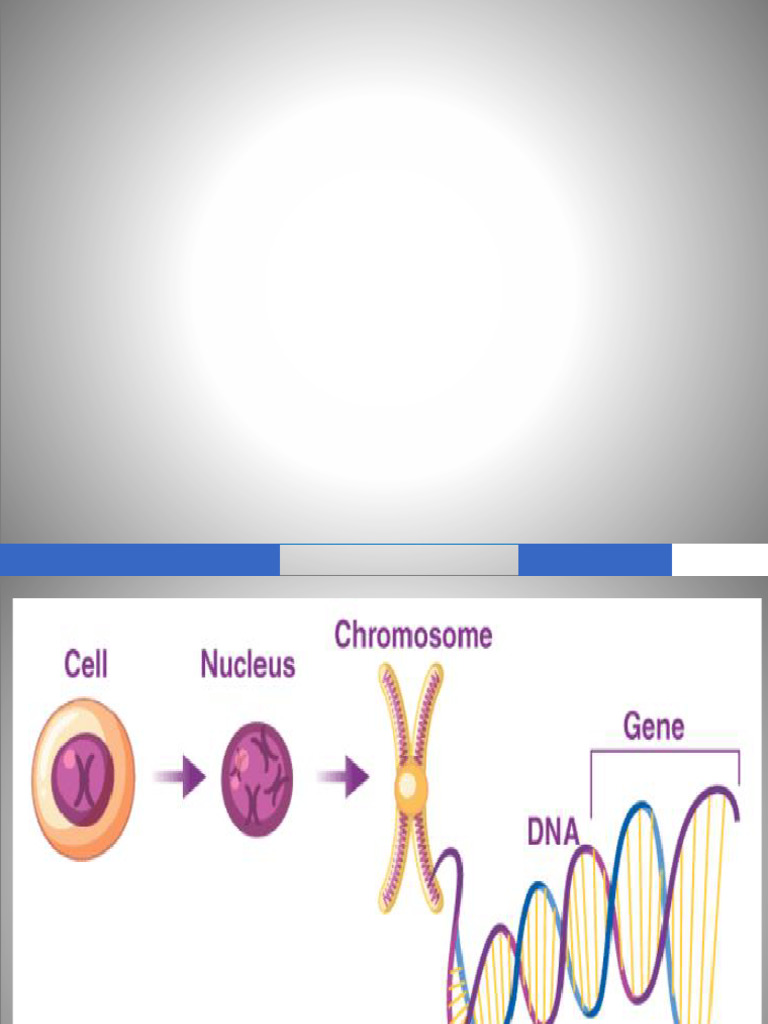 Genes and Gene Regulation | PDF | Gene | Gene Expression