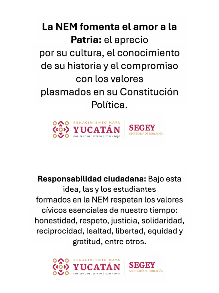 Principios de La NEM 2 Por Hoja | PDF