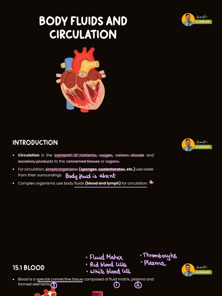 Body Fluids and Circulation Overview | PDF | Heart Valve | Ventricle ...