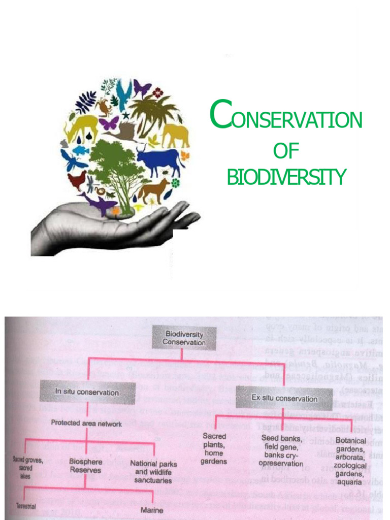 EBT-Module I (Conservation of Biodiversity) | PDF | Zoo | Environmental ...