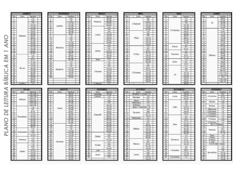 plano-de-leitura-biblica-em-1-ano-pdf