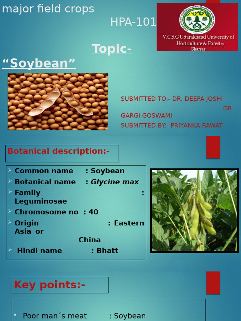 MFC 16020soyabean 201225083318 | PDF | Sowing | Soybean