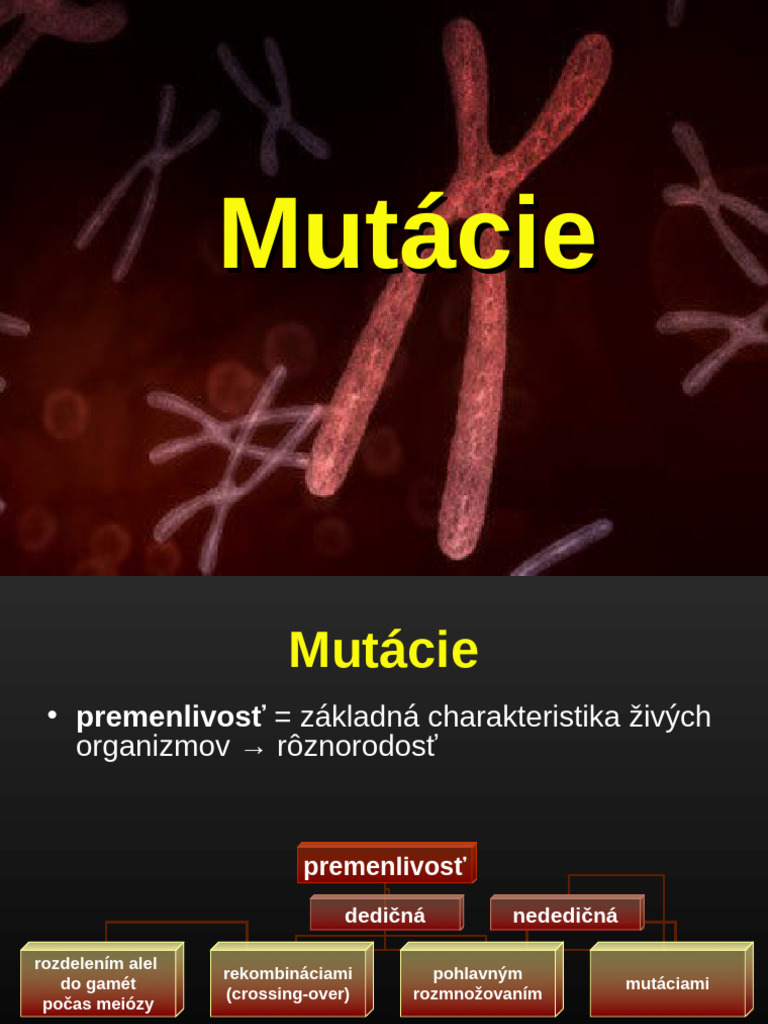 Muta Cie | PDF