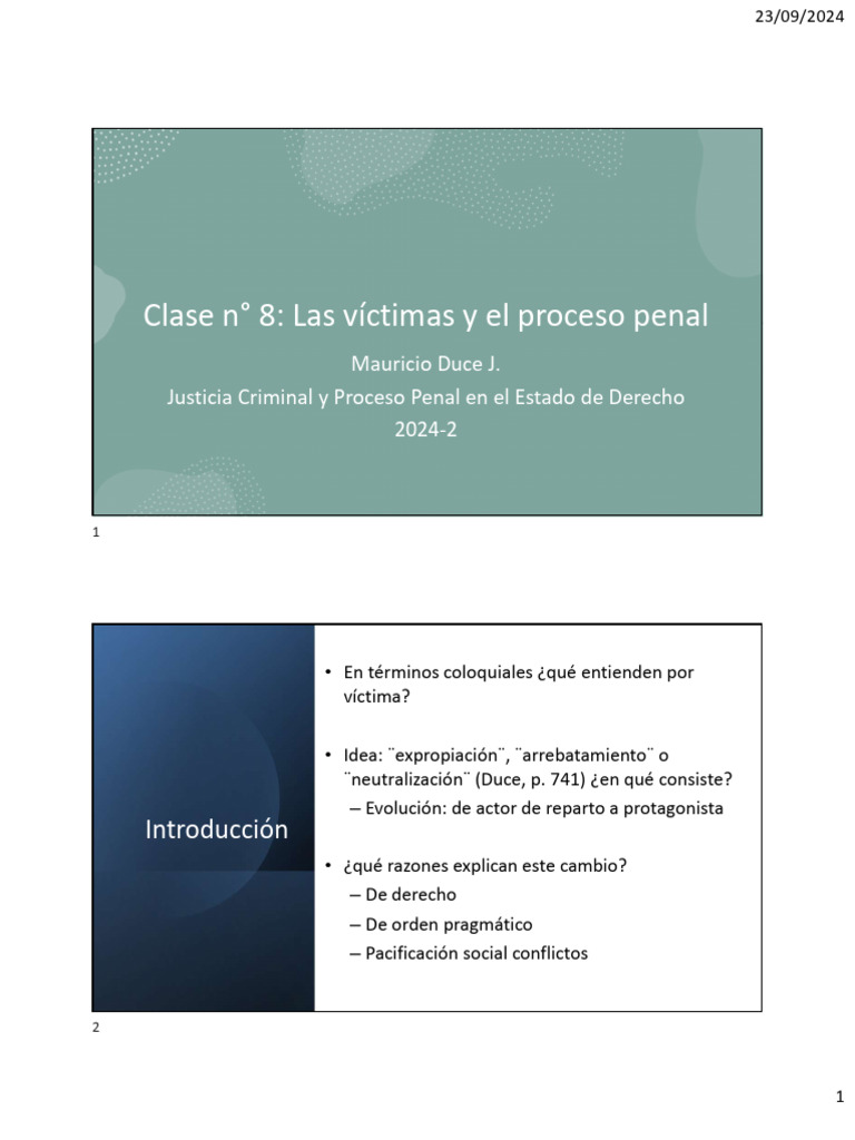 Víctimas en el Proceso Penal: Clases y Roles | PDF | Justicia | Crimen ...