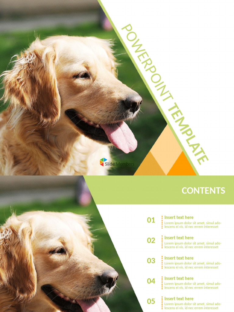 SlideMembers PetDogFreePPTTemplate PS 1089 | PDF