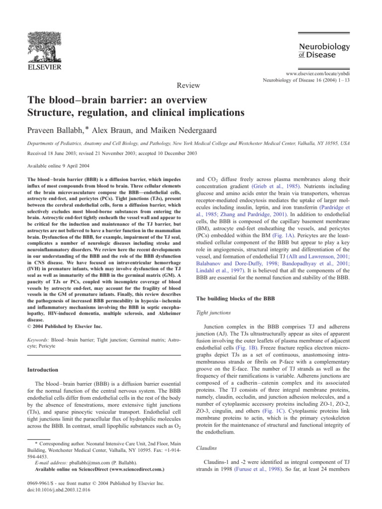 The Blood Brain Barrier An Overview | PDF | Endothelium | Astrocyte