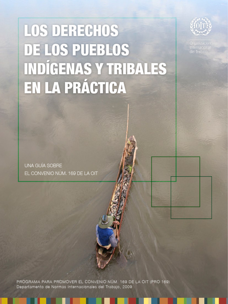 Derecho de Los Pueblos Indigenas y Tribales en La Práctica | PDF