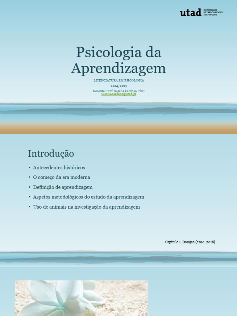 Psicologia da Aprendizagem: Fundamentos e Métodos | PDF | Aprendizado ...