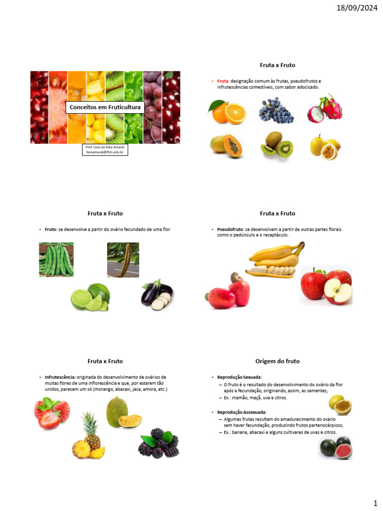 Definição e Classificação da Fruticultura | PDF | Fruta | Plantas