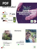 Bula do Persur: Indicações e Uso | PDF