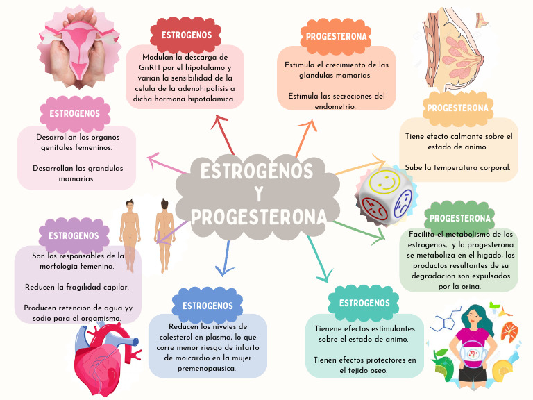 Actividad 3 | PDF | Estrógeno | Progesterona