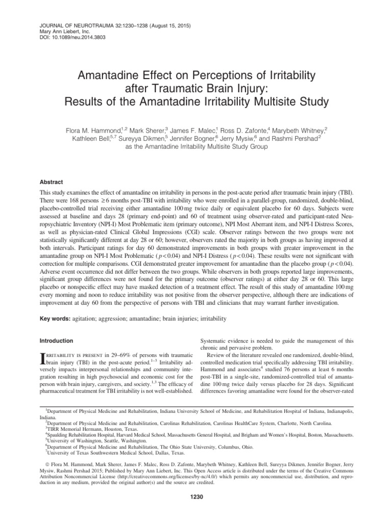 Amantadine's Impact on TBI Irritability | PDF | Traumatic Brain Injury ...