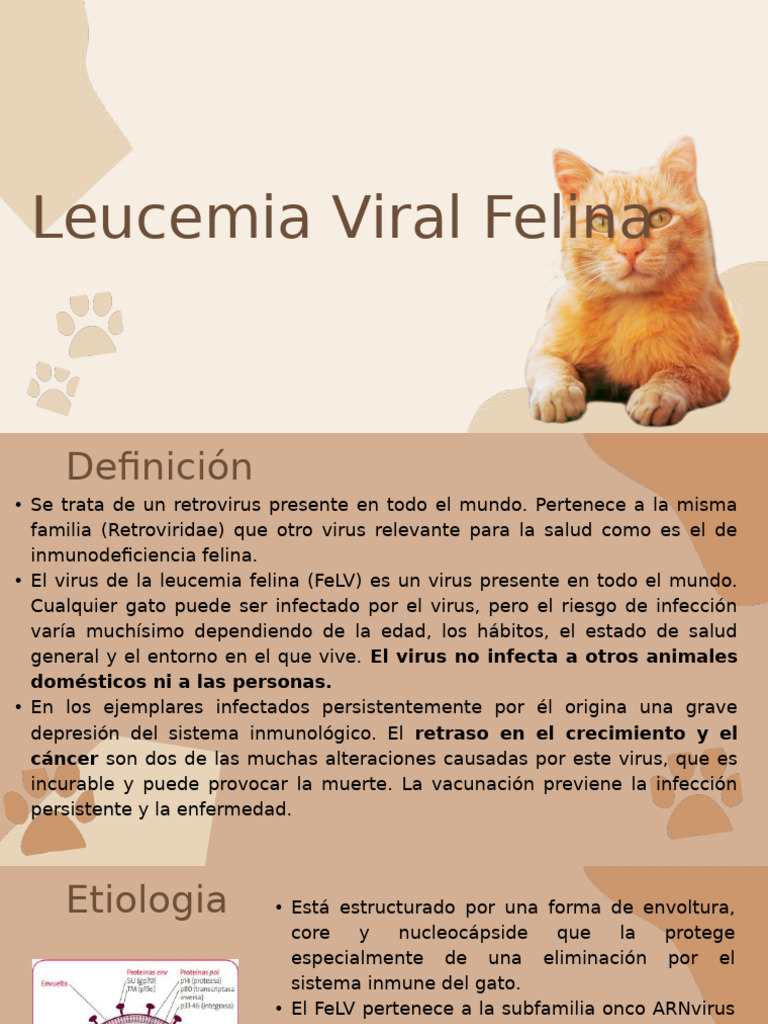 Visual Reference: Leucemia Felina Prevención Y Riesgos Pdf Virus