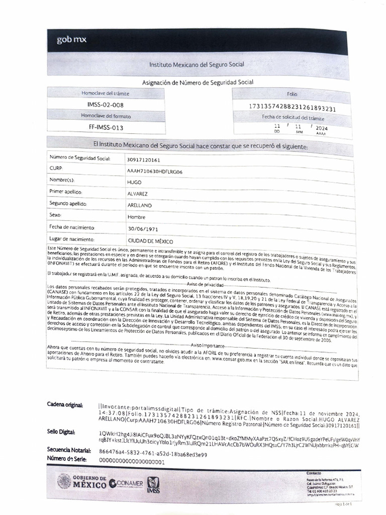 Afiliacion IMSS 11 nov 2024 (1) | PDF