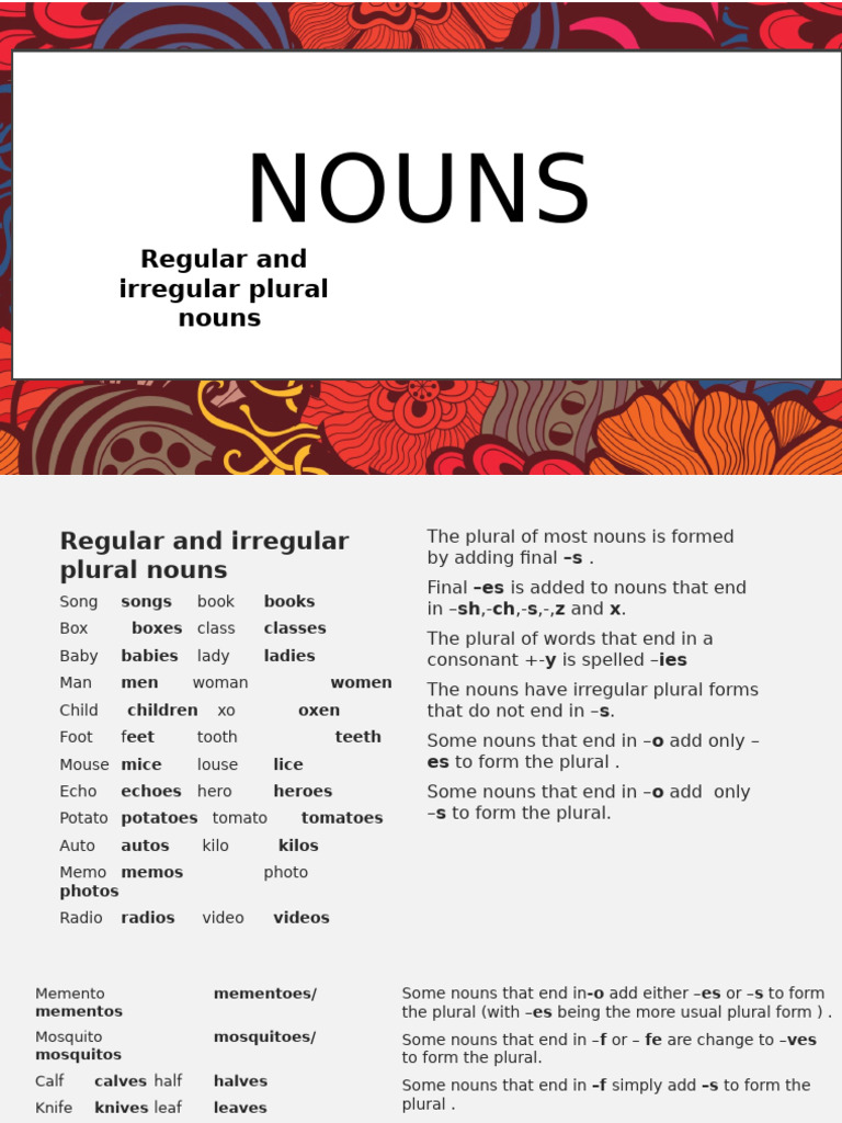 Plural and Possessive Nouns Guide | PDF | Grammatical Number | Plural
